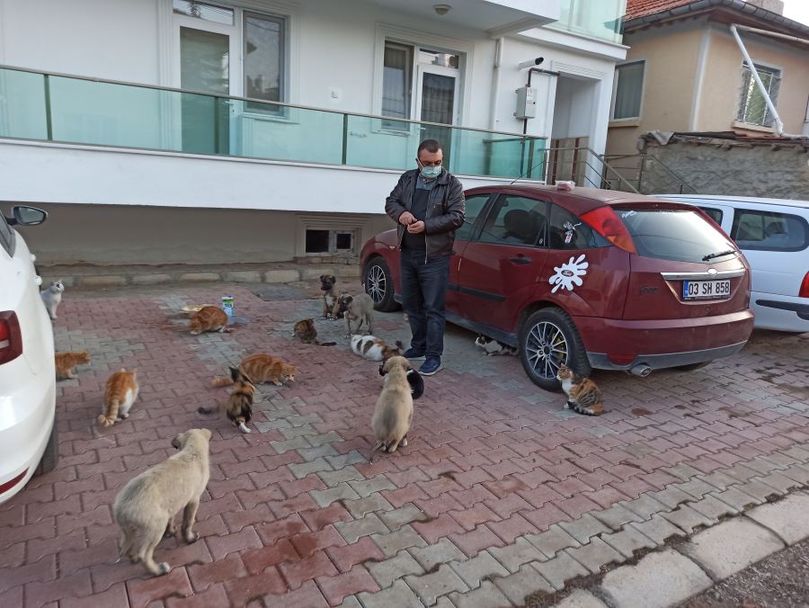 Sokak hayvanları için harekete geçti, mahalle sakinleri onu yalnız bırakmadı 