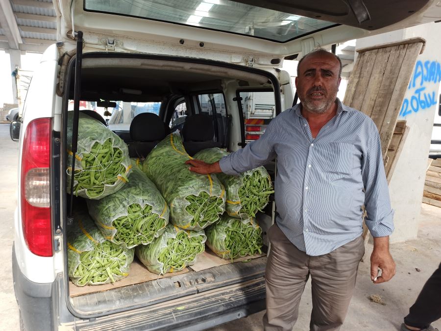 Fiyatı düşüşe geçen fasulye hem türeticisini hem komisyoncusunu üzdü