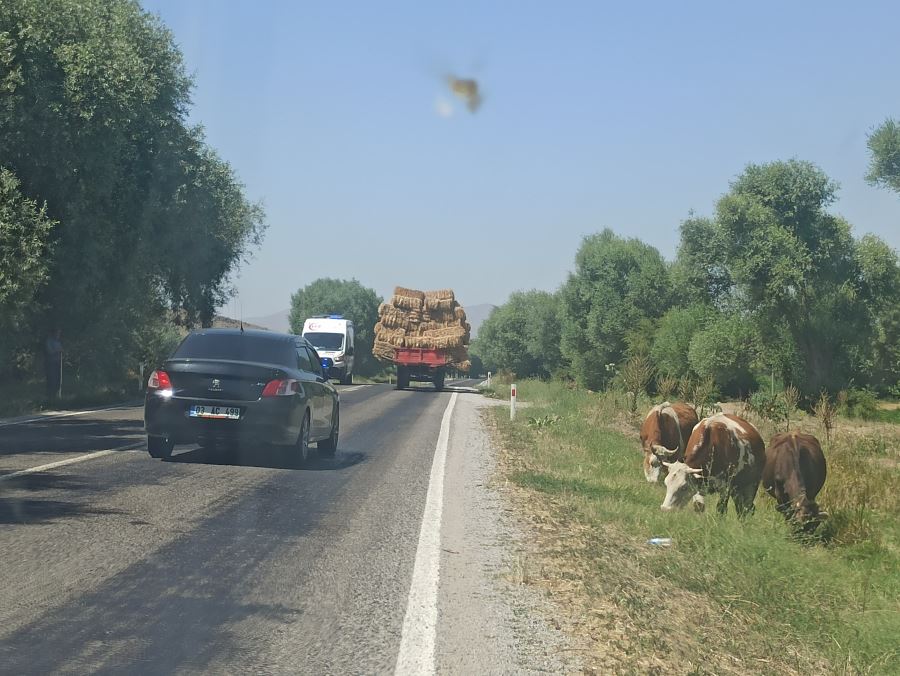 Traktörü görenler şaşırdı kaldı  