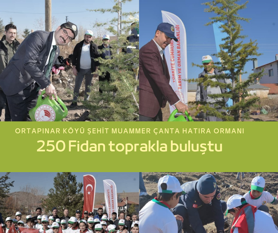 Şuhutta 250 fidan toprakla buluştu