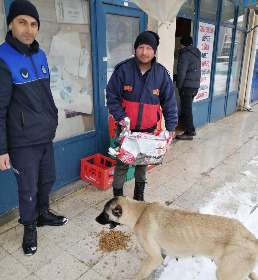 Karaadilli Belediyesi Sokak Hayvanlarını Unutmadı