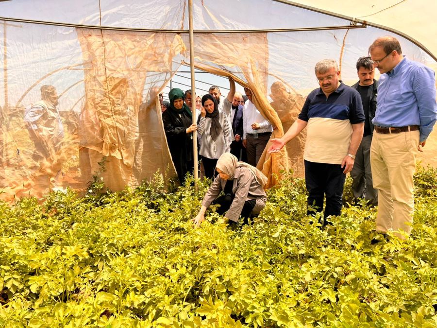 Milletvekili Yurdunusevenden İdlibe Ziy aret