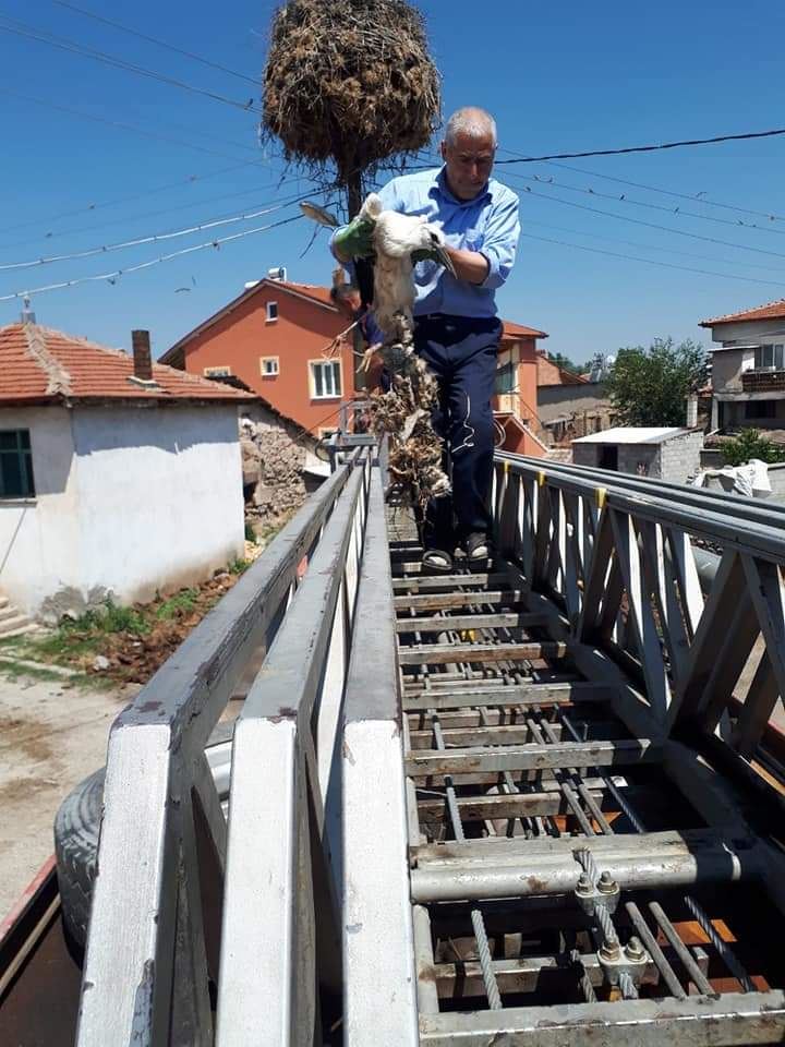 Şuhutta Yaralı leylek için itfaiye ve köylüler seferber oldu