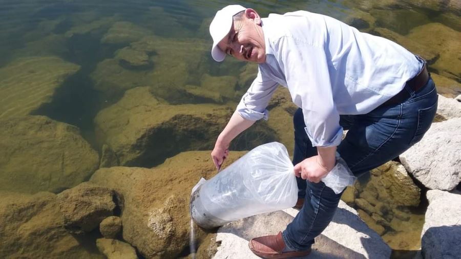 Şuhut’Ta Baraj Ve Göletlere 85 Bin Adet Yavru Balık Bırakıldı