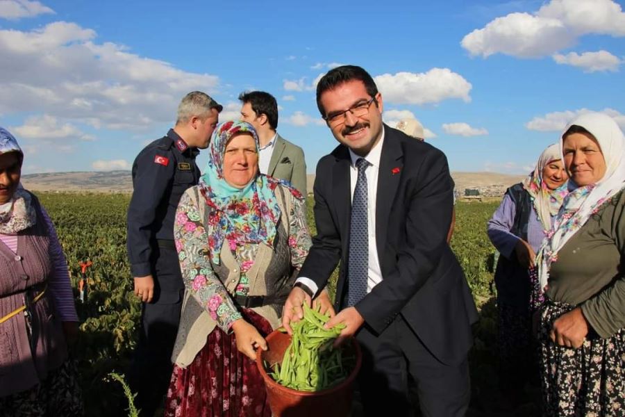 Kaymakam Reşit Han fasulye toplayan işçilerle bir araya geldi