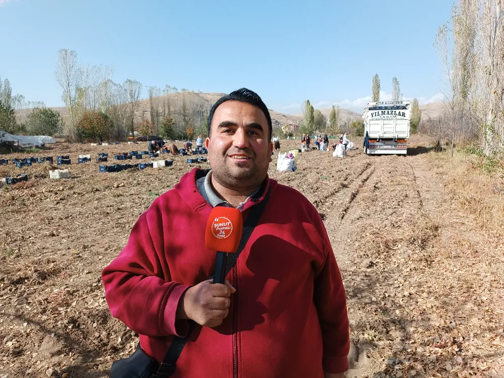 Akyuva Köyünde Patates Hasadı Devam Ediyor