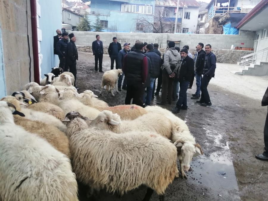 Köylüler 20 koyunu açık arttırmayla satıp, depremzedelere bağışladı