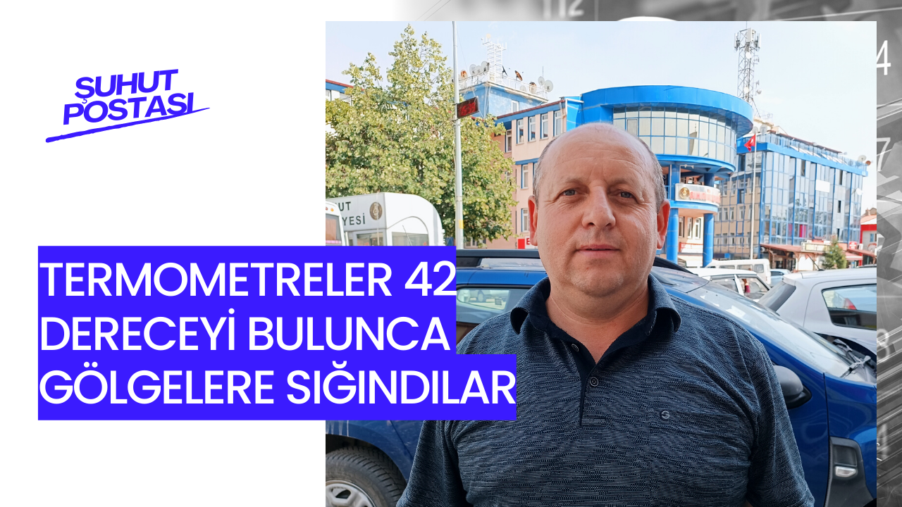 Termometreler 42 dereceyi bulunca gölgelere sığındılar