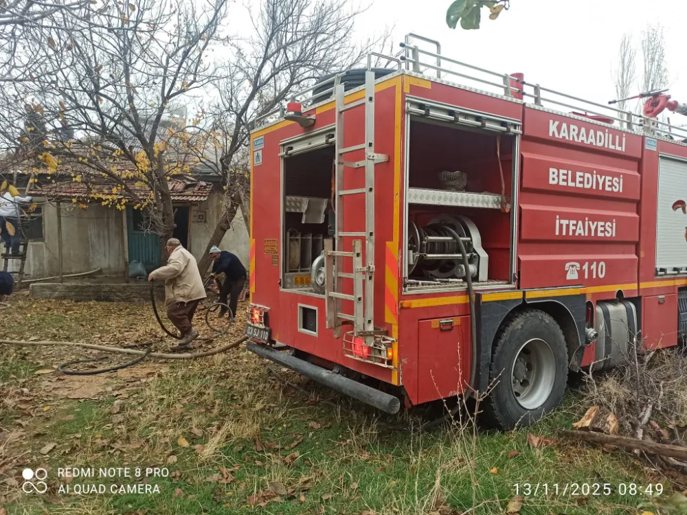  Karaadilli’ye Yakın Çay Armutlu