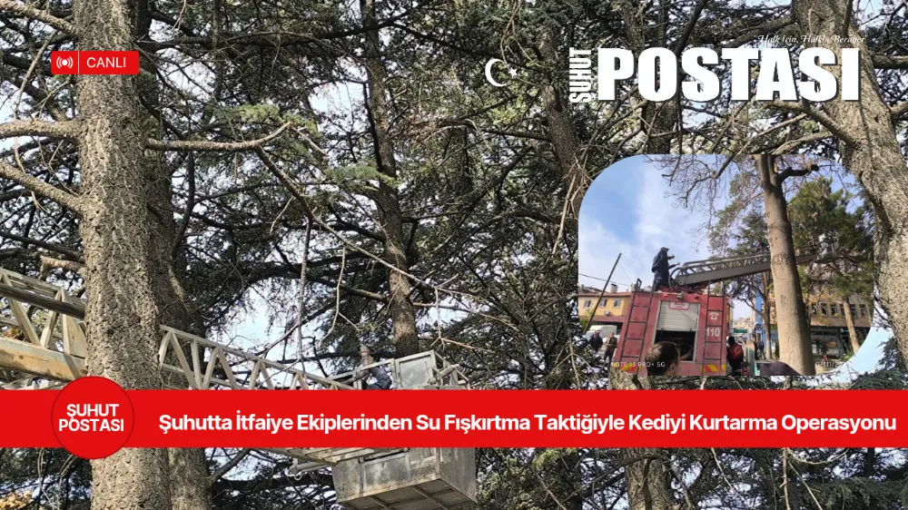 Şuhut’ta İtfaiye Ekiplerinden Su Fışkırtma Taktiğiyle Kediyi Kurtarma Operasyonu