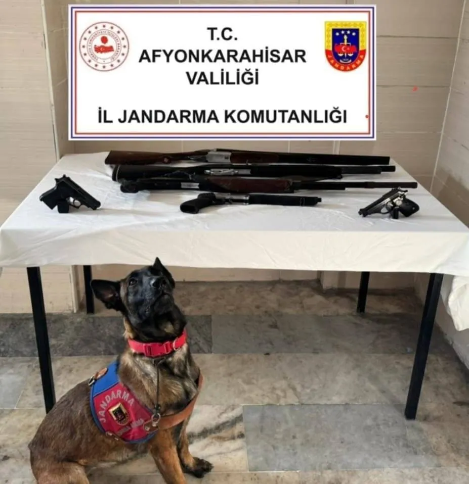 Sinanpaşa’da Kaçak Kazı Operasyonu: 7 Şüpheli Gözaltındal