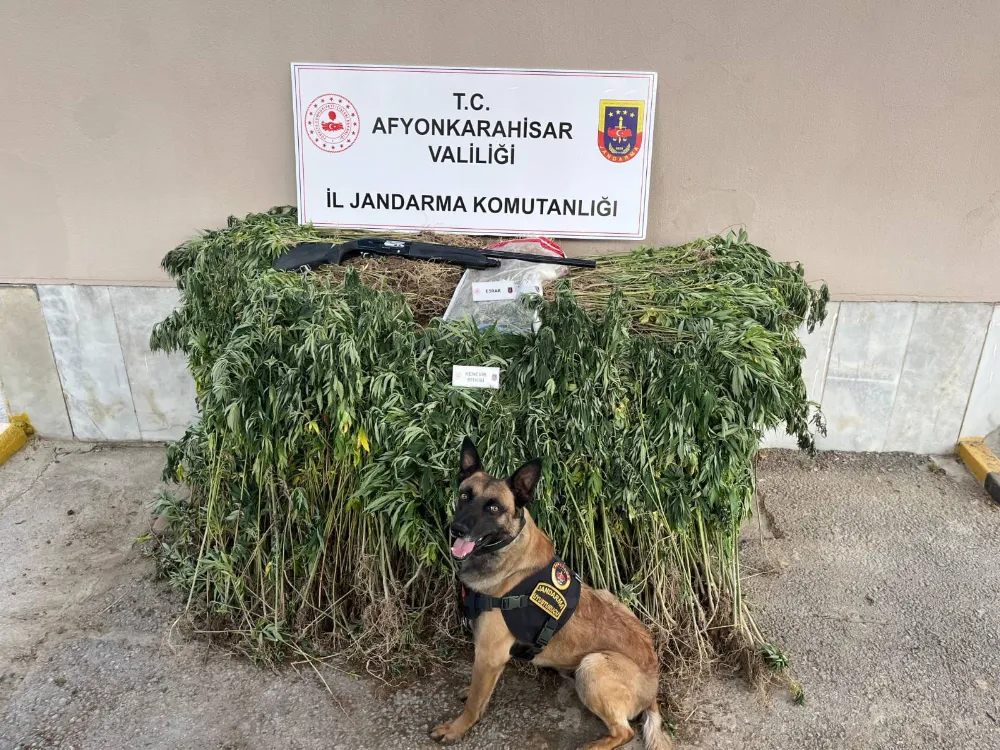 Afyonkarahisar
