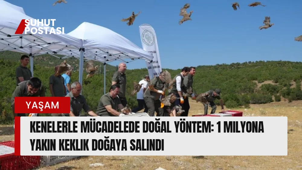 Kenelerle Mücadelede Doğal Yöntem: 1 Milyona Yakın Keklik Doğaya Salındı